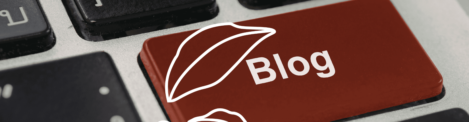 Banner Blog